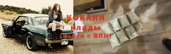 соль ск Алексин