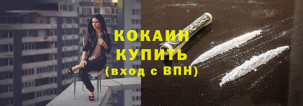 соль ск Алексин